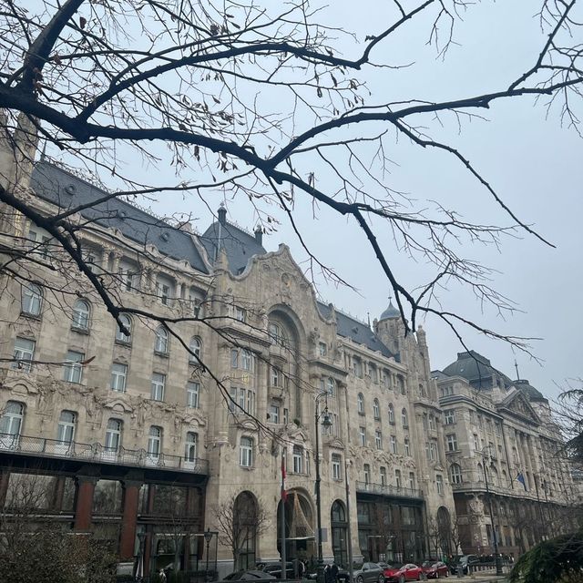 Hungry for More Adventures at Budapest
