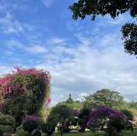 Tropical flowers garden - Xishuangbanna 