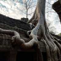 Exploring Angkor Wat in Cambodia