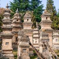 Shaolin’s Pagoda Forest