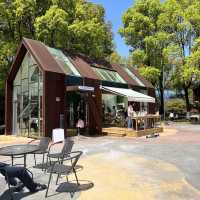 Quirky Cafes in Ningbo 