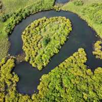 🌳Eergu’Na Wetlands in INNER MONGOLIA