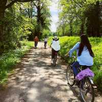 Scenic cycling around Rheinstetten 