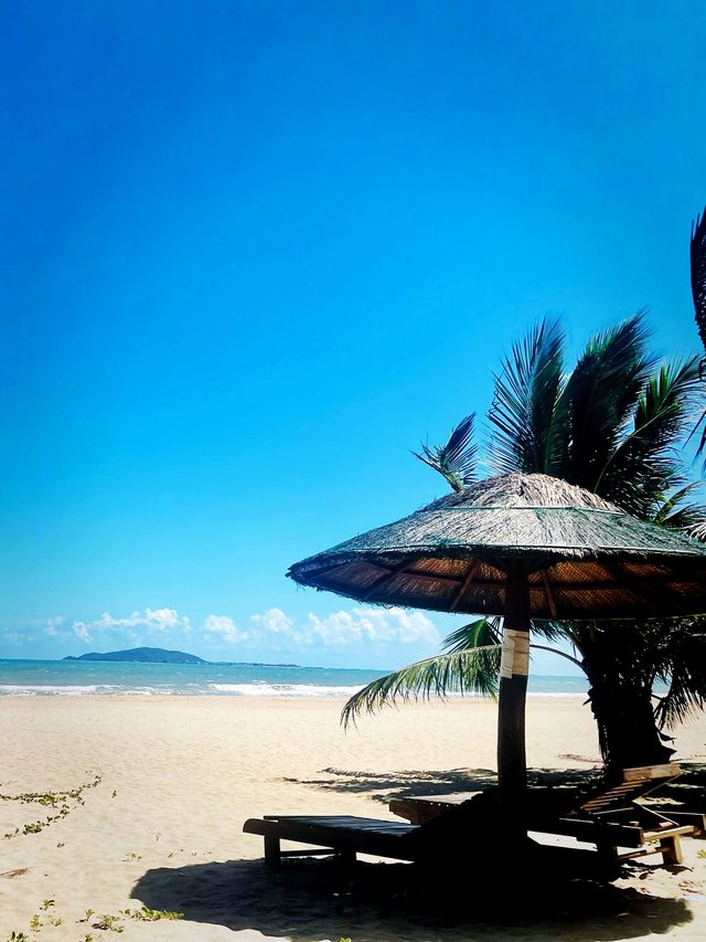 The Palm trees and Sanya beach view 🌴 