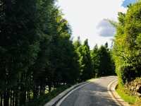 The Forest wetlands of Shilihetan, Huaxi