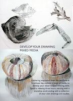 Coastal Drawing with Kathleen Cowie | Greyhope Bay Centre