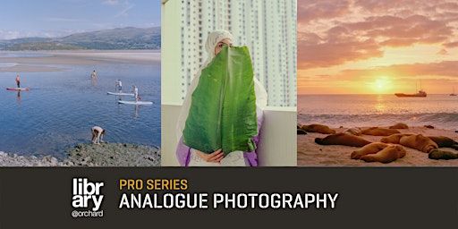 Pro Series: Framing Reality in Documentary Photography with Amrita C. | library@orchard - Imagine This