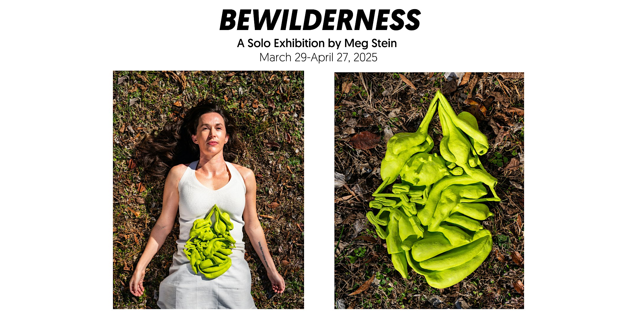 BEWILDERNESS Artist's Talk | 1320 Old Oxford Rd suite 7