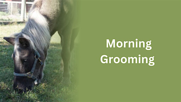 Morning Grooming | Muscoot Farm