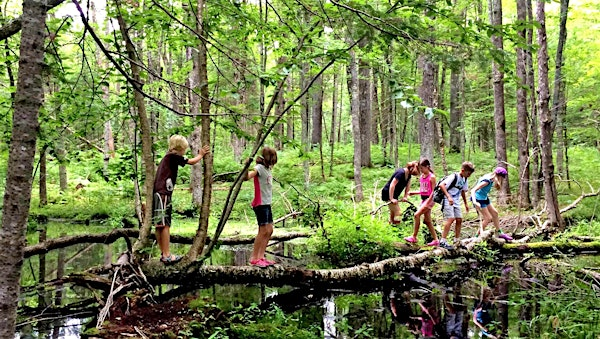 Heart and Soul Junior Rangers Nature Camp | Hidden Falls Regional Park