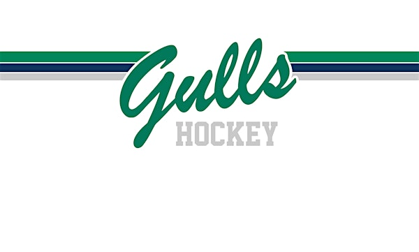 Endicott College Women's Ice Hockey vs Suffolk | Raymond J. Bourque Arena