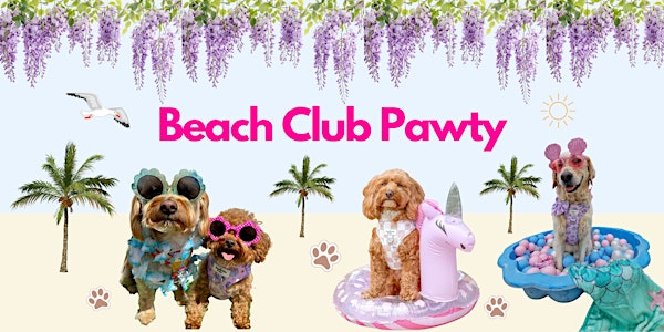 Beach Club Pawty | El Murrino Beach Bar & Restaurant