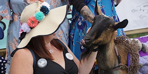 VIP Goat Derby Experience | The Winery at Wolf Creek Great Room