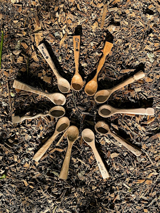 Woodland Spoon Carving by the Fire – 4hr Workshop in Stanmer Park | Stanmer Wellbeing Gardens