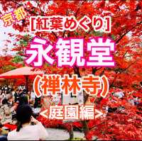 京都[紅葉めぐり]  永観堂[禅林寺]  (感動の庭園編)