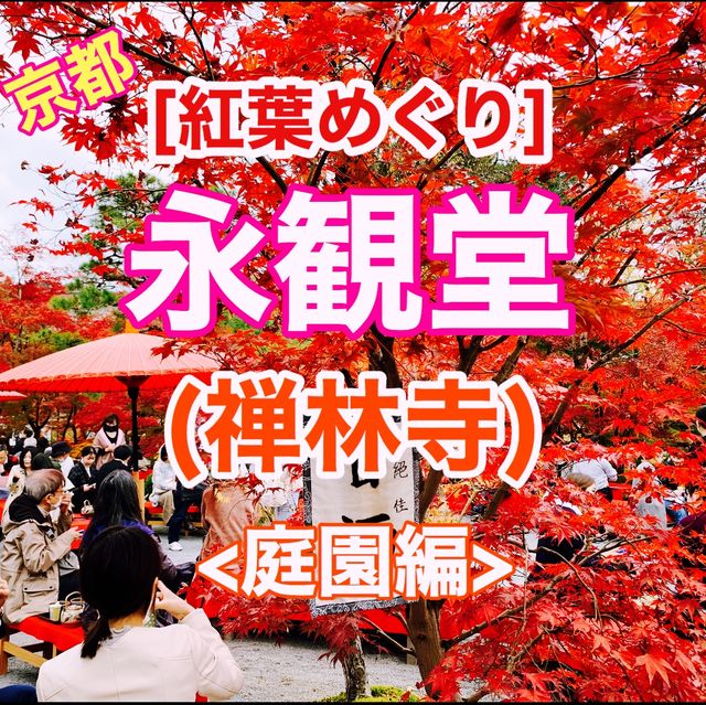 京都[紅葉めぐり]  永観堂[禅林寺]  (感動の庭園編)
