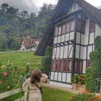 Afternoon Tea at secluded tudor-style hotel