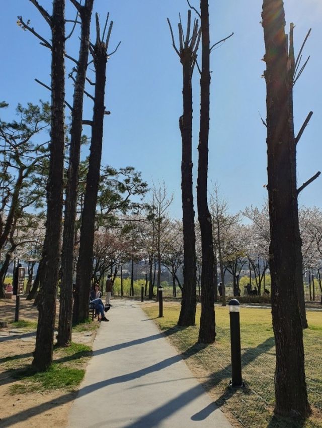 [서울] 곧 봄이 오면 꼭 가야하는 스팟 ‘선유도공원’