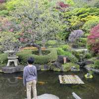 この世の極楽に鎌倉観光なら長谷寺