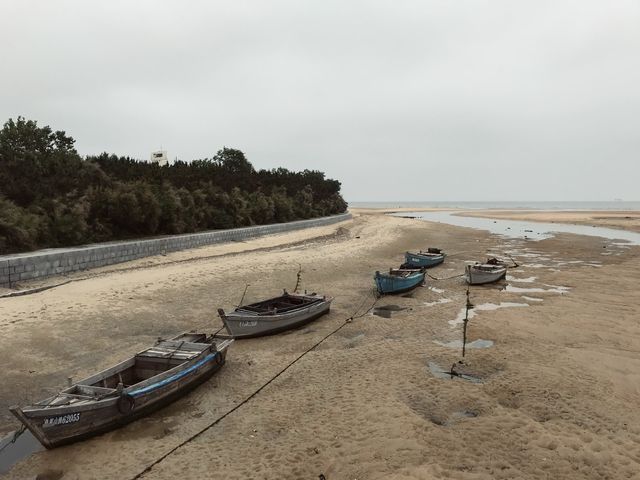 Yanda The Seashore Park