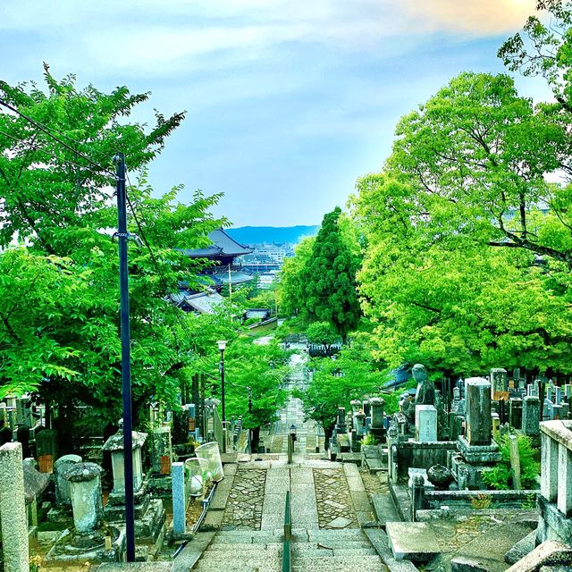 【京都】長い修行をされたアフロ大仏様
