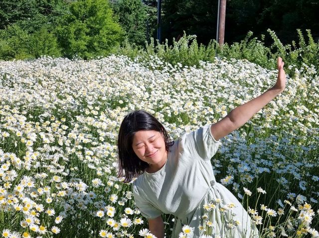 구례 데이지 보러갈까~? 구례!
