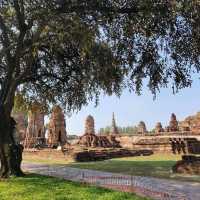 Ancient City - Ayutthaya 大城府