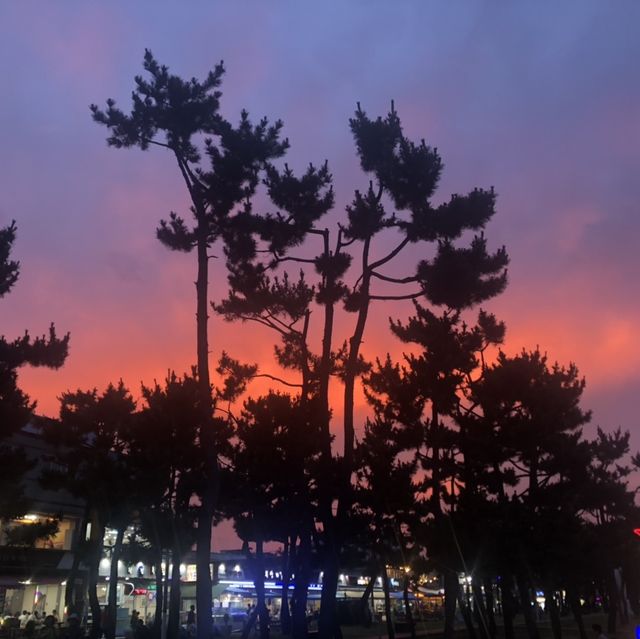 강원도 양양 낙산해수욕장