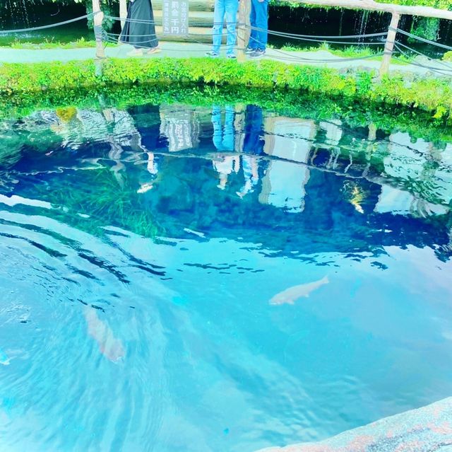 水の透明度、綺麗なブルー