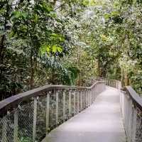 The Windsor Nature Park In Singapore