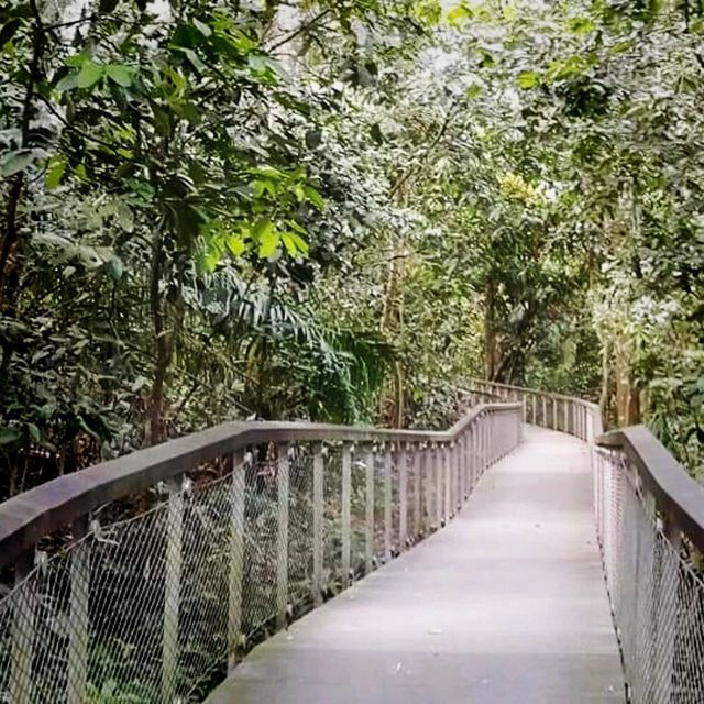 The Windsor Nature Park In Singapore