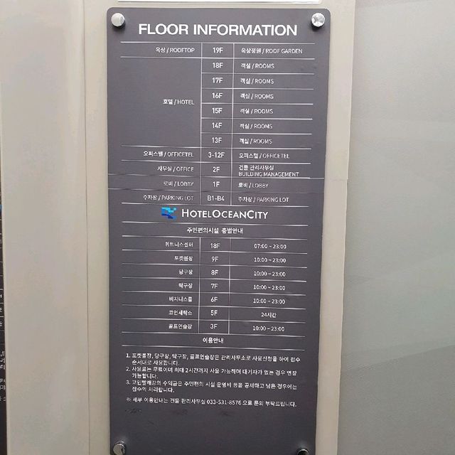 친구들이 칭찬한 오션뷰 호캉스