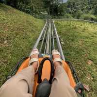 adventure กลางป่าบนม่อนแจ่ม