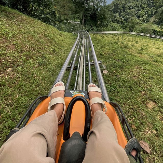 adventure กลางป่าบนม่อนแจ่ม