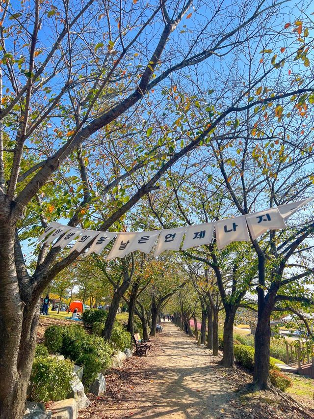 시흥갯골생태공원에서 가을분위기 즐기기🌾🧡