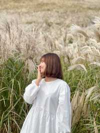 제주 가을 필수 여행 코스, ‘새별오름’