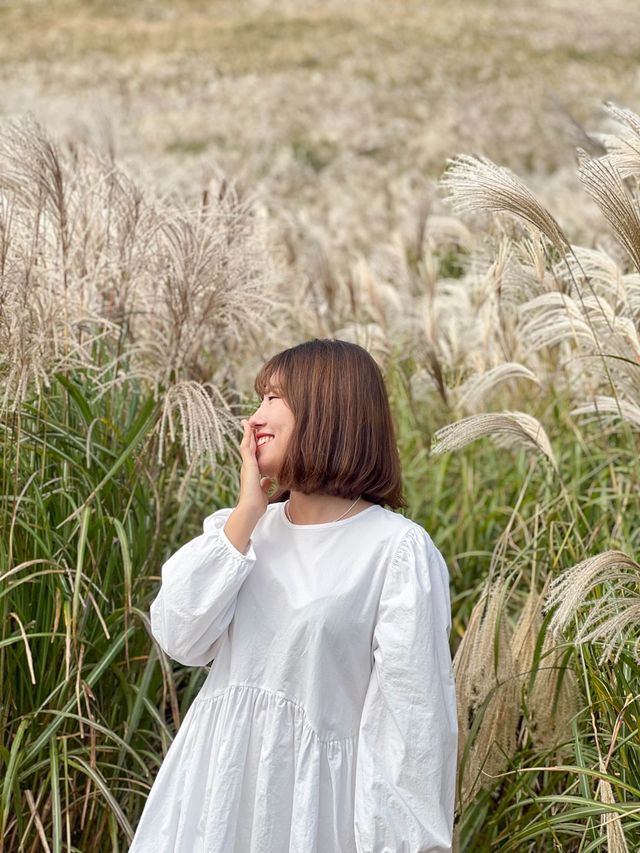 제주 가을 필수 여행 코스, ‘새별오름’
