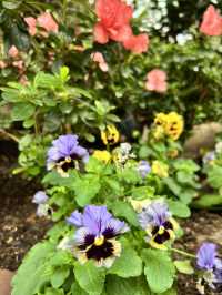 Admiring Nature’s Beauty inside Flower Dome