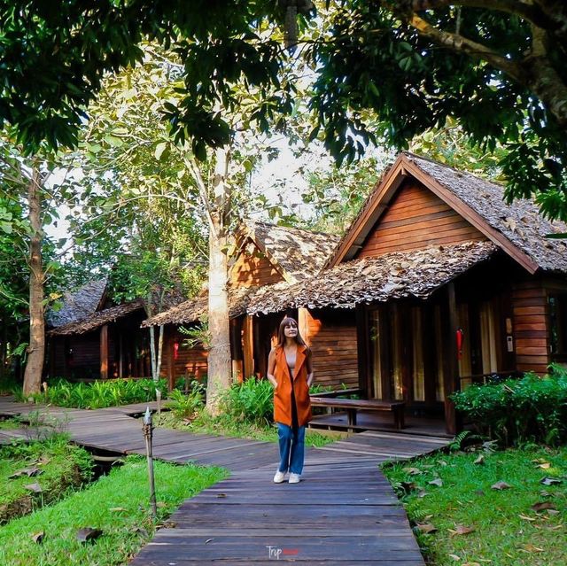 ที่พักเชียงดาว นอนชิล ฟิลธรรมชาติ