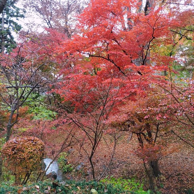 岩手県！盛岡城跡公園で紅葉狩り