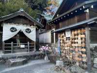 犬山市必訪 人氣✨針綱神社