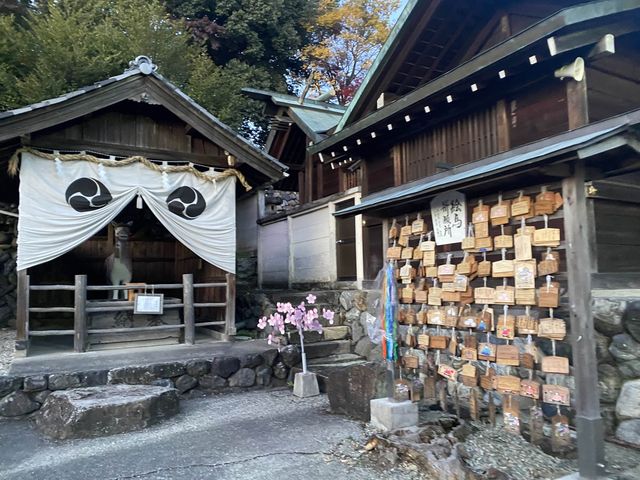 犬山市必訪 人氣✨針綱神社