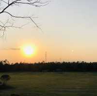 Golden Scenery in Shanghai’s Haiwan Park