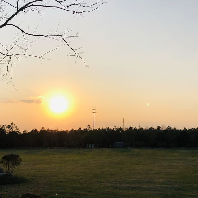 Golden Scenery in Shanghai’s Haiwan Park