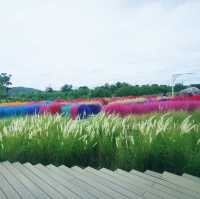 Memories House Cafe : Outdoor Zone