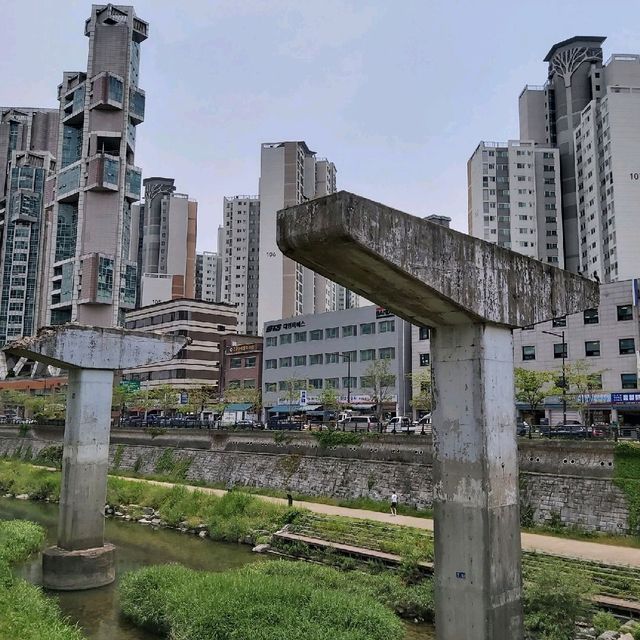 Urban oasis in Seoul