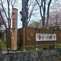まるで名古屋城の城下町【金シャチ横丁】✨