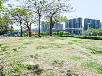 漫步人生 荃灣公園