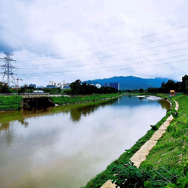 上水虎地坳、河上鄉賞花遊蹤