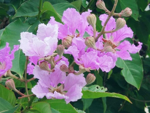 荃灣海濱公園
